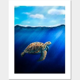 Green Sea Turtle Posters and Art